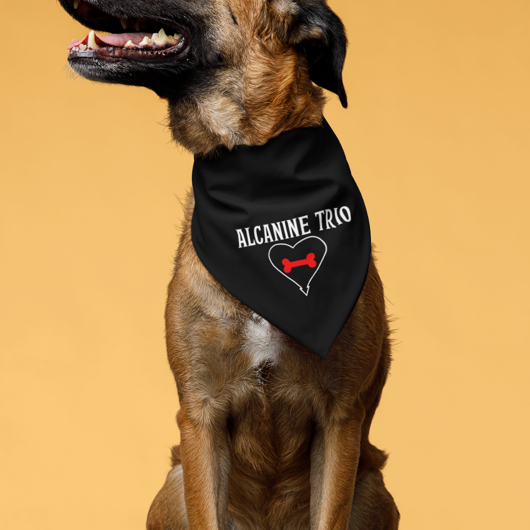 Alcanine Trio Pet Bandana – - Main Image
