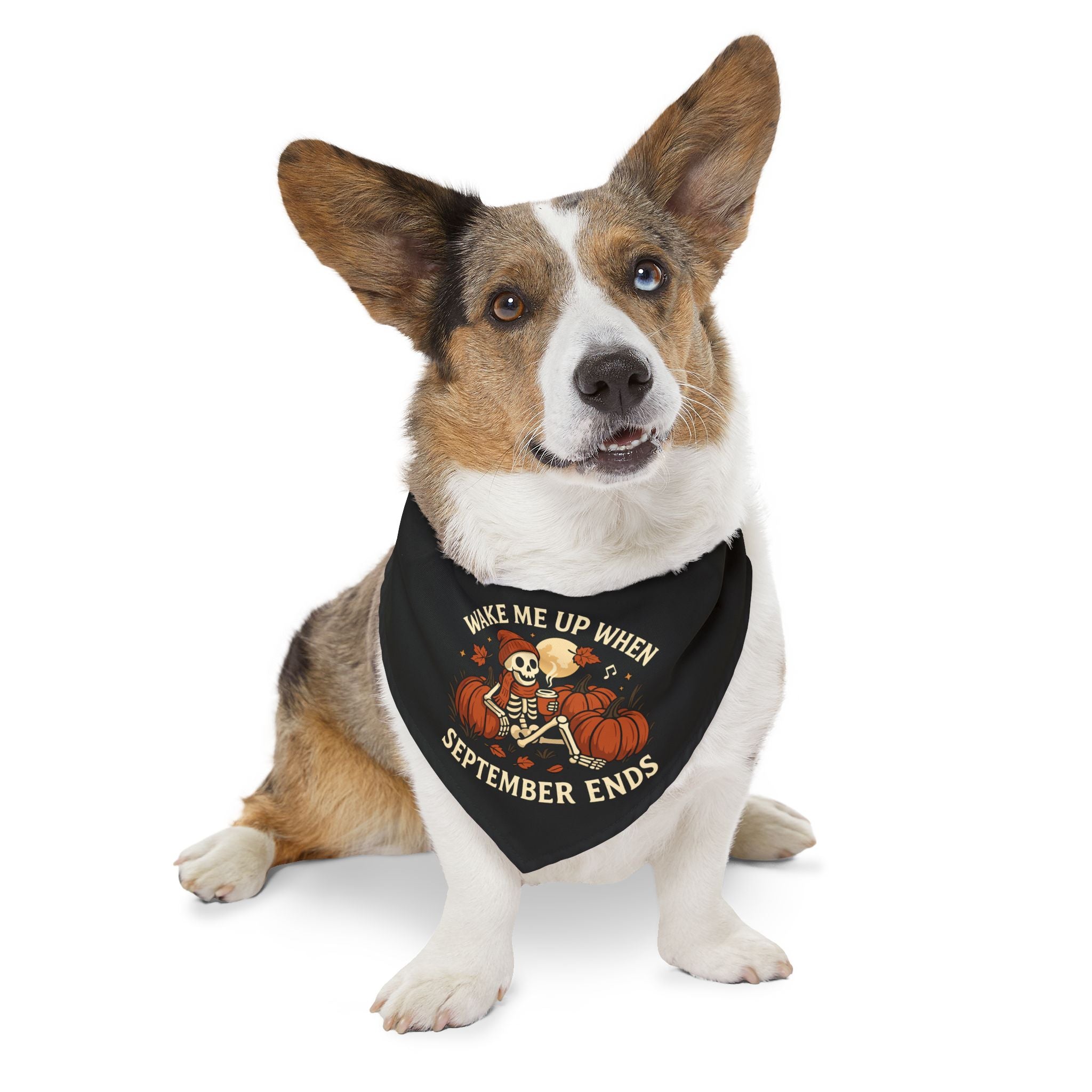 Wake Me Up When September Ends Pet Bandana