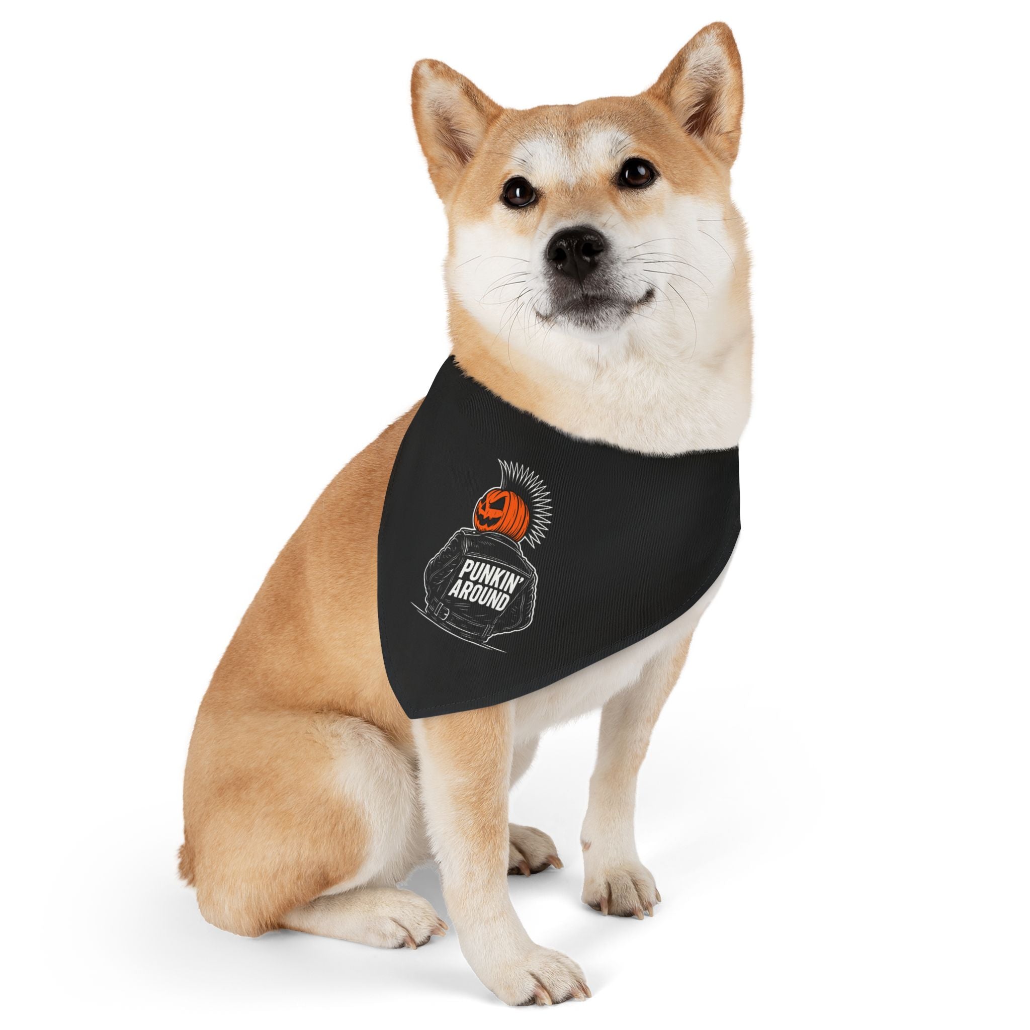 Punkin' Around Pet Bandana