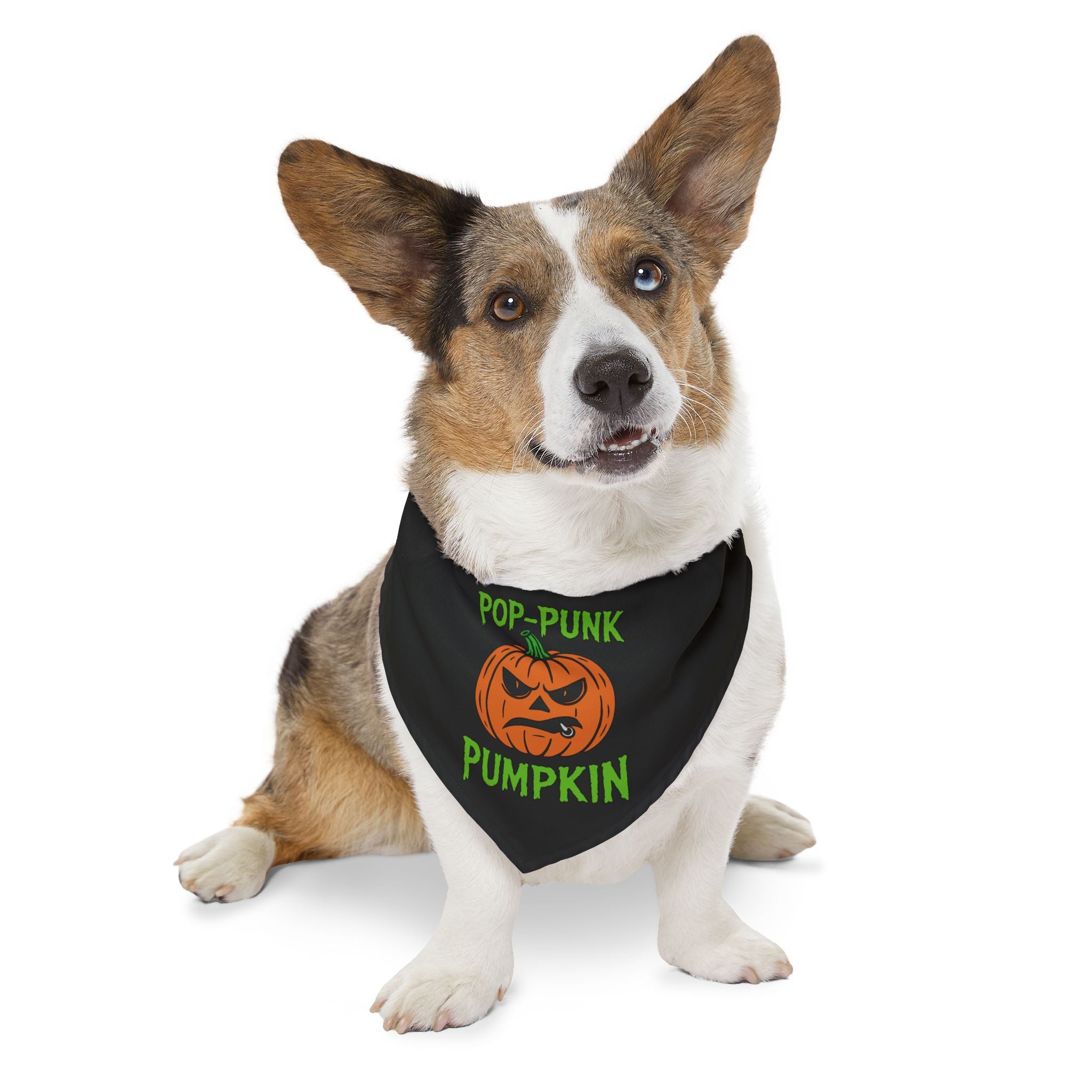 Pop-punk Pumpkin Pet Bandana