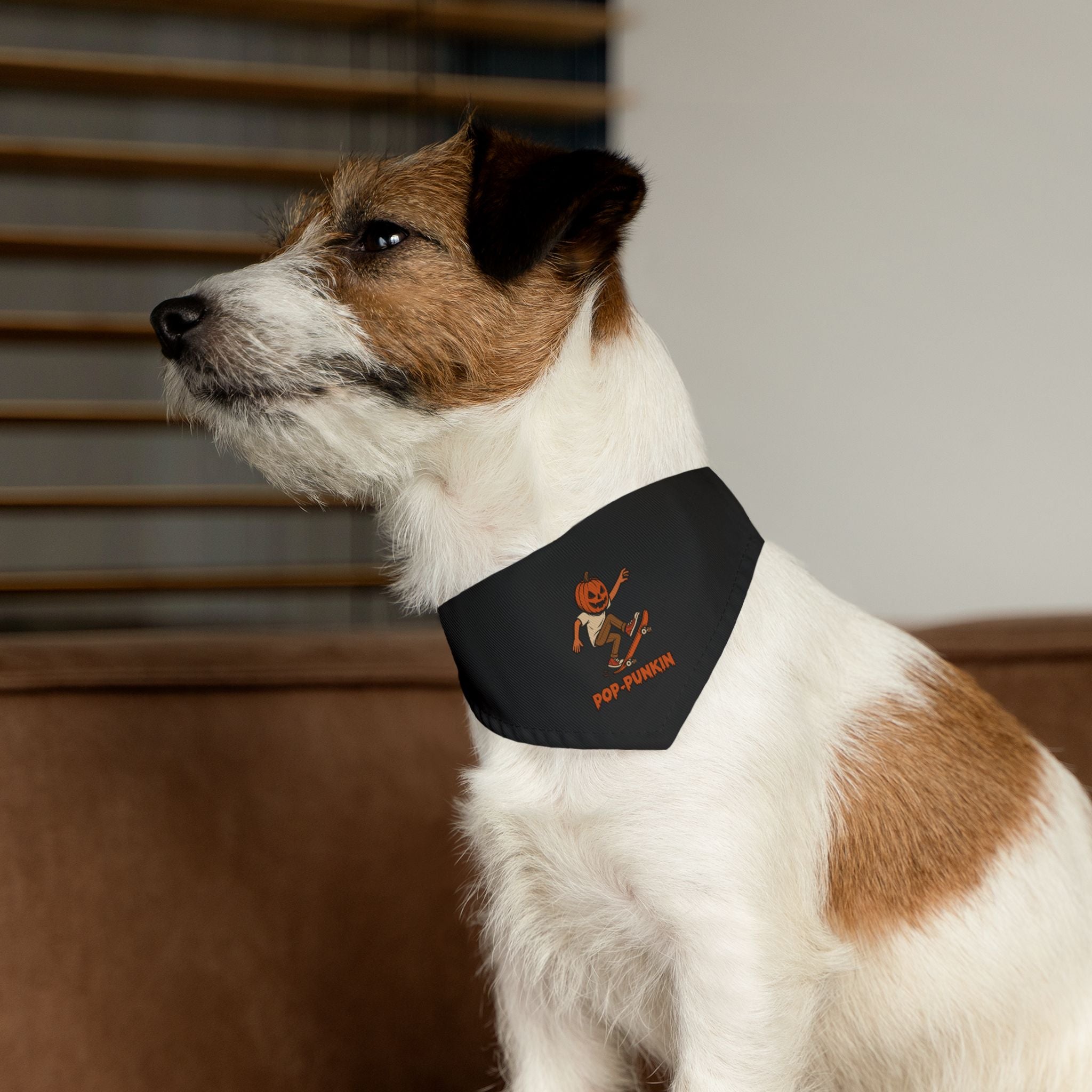 Pop-punkin Pet Bandana