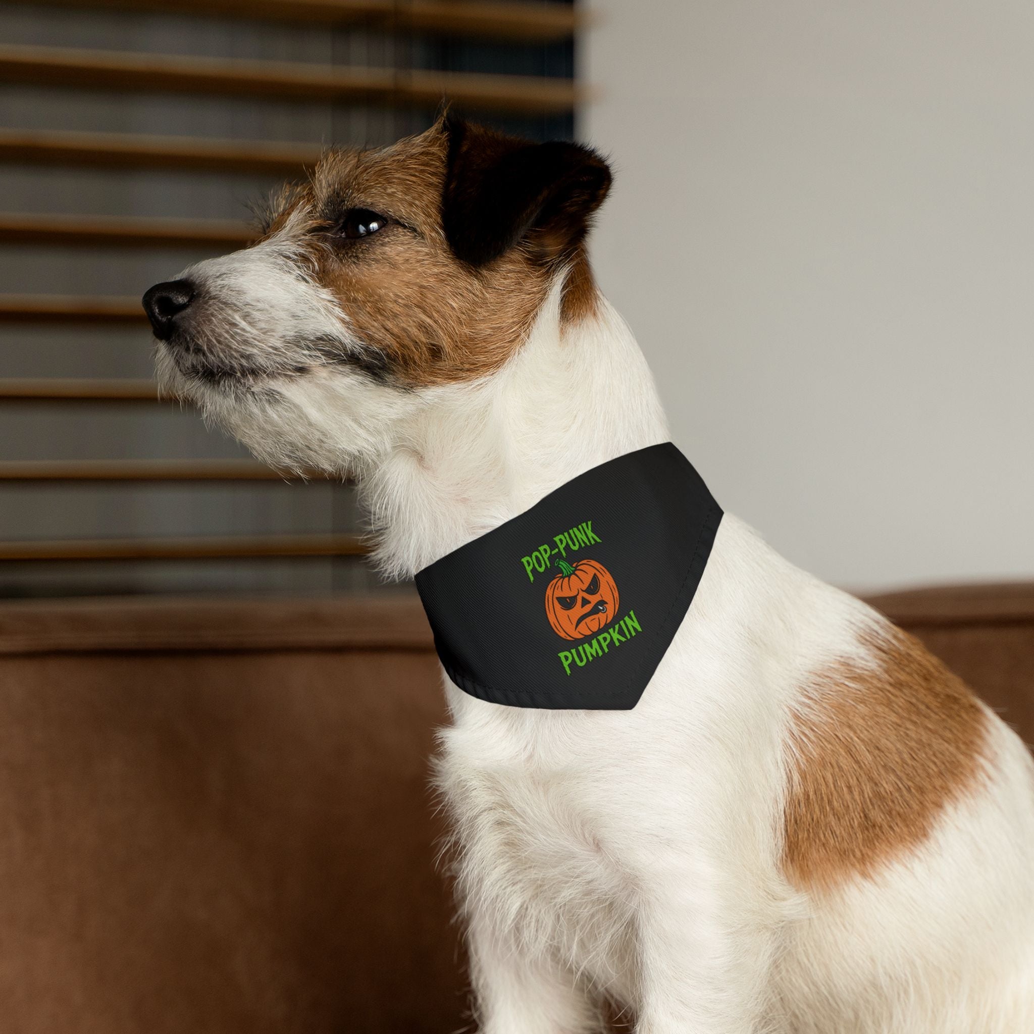 Pop-punk Pumpkin Pet Bandana