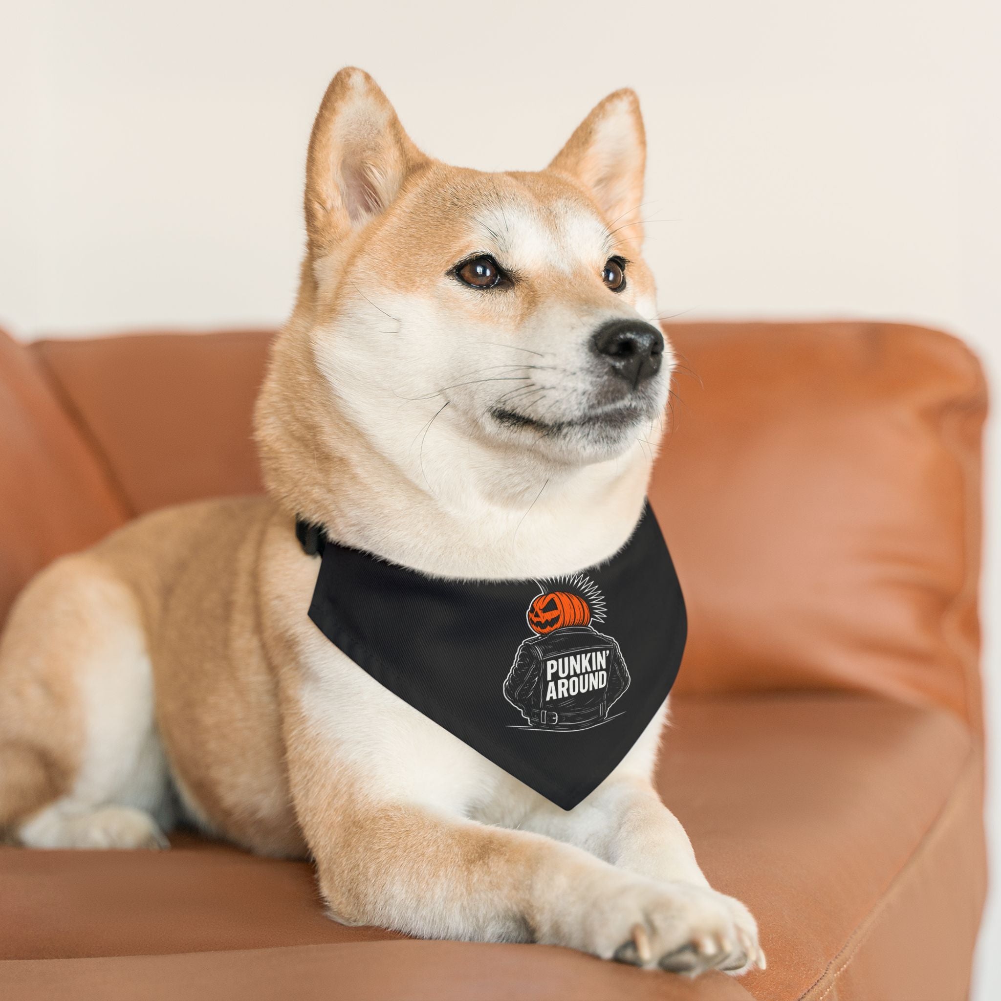 Punkin' Around Pet Bandana