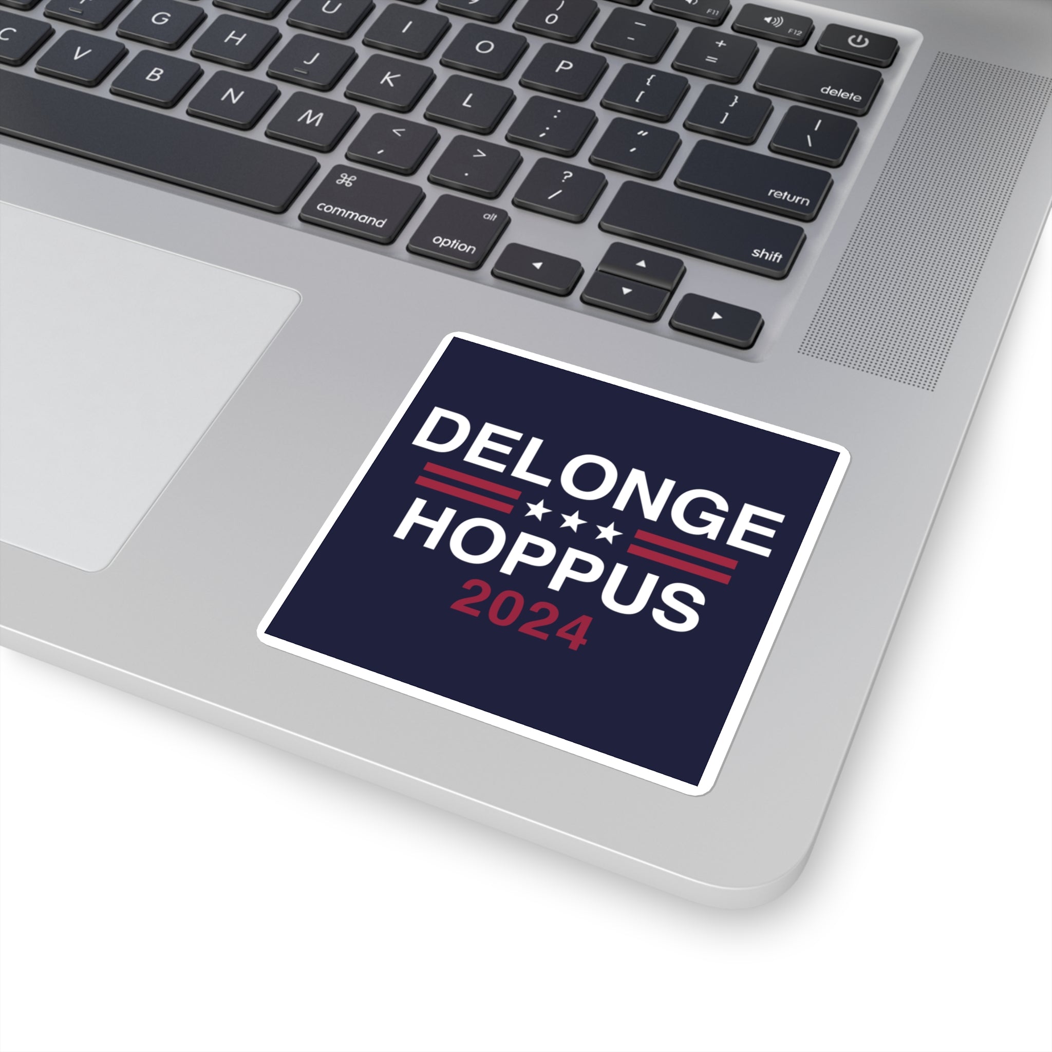 DeLonge / Hoppus 2024 Sticker