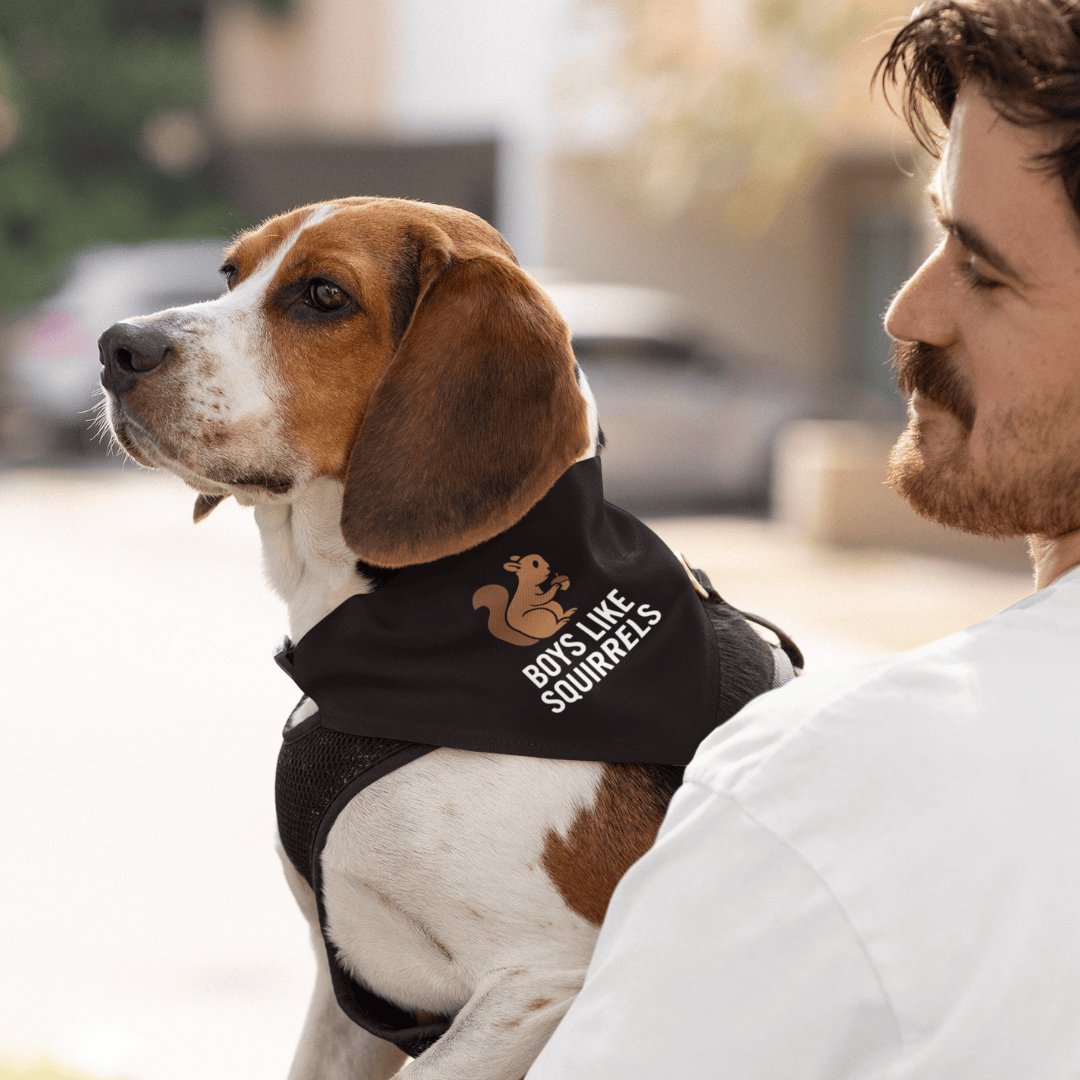 Boys Like Squirrels Pet Bandana OLD