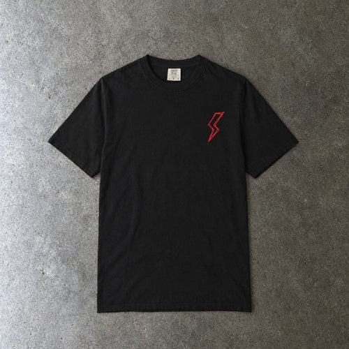 All Panic No Disco Tee on Comfort Colors in black, laid flat