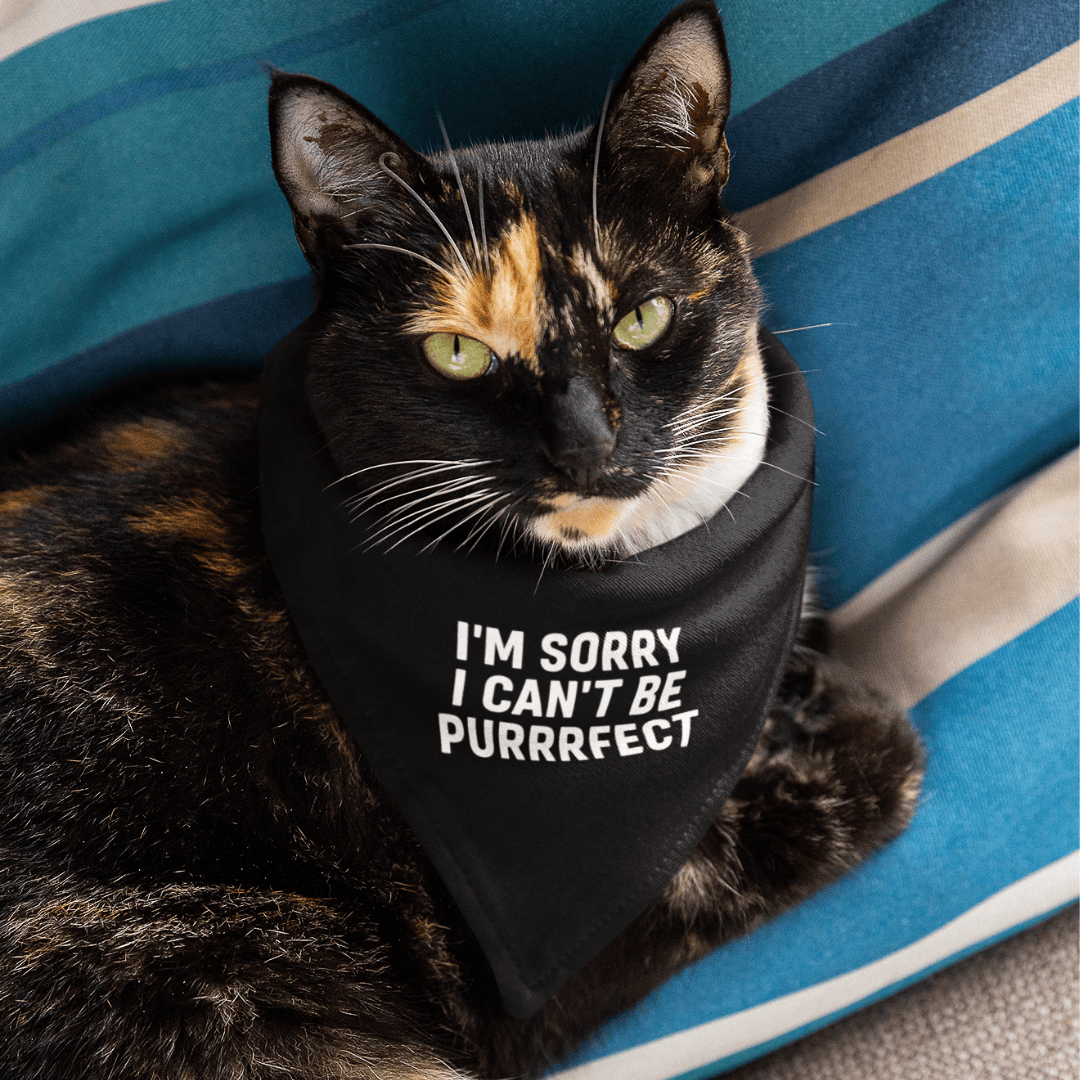 I'm Sorry I Can't Be Purrrfect Pet Bandana OLD