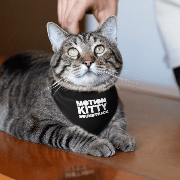 Motion Kitty Soundtrack Pet Bandana OLD