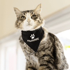 Pawramore Pet Bandana OLD