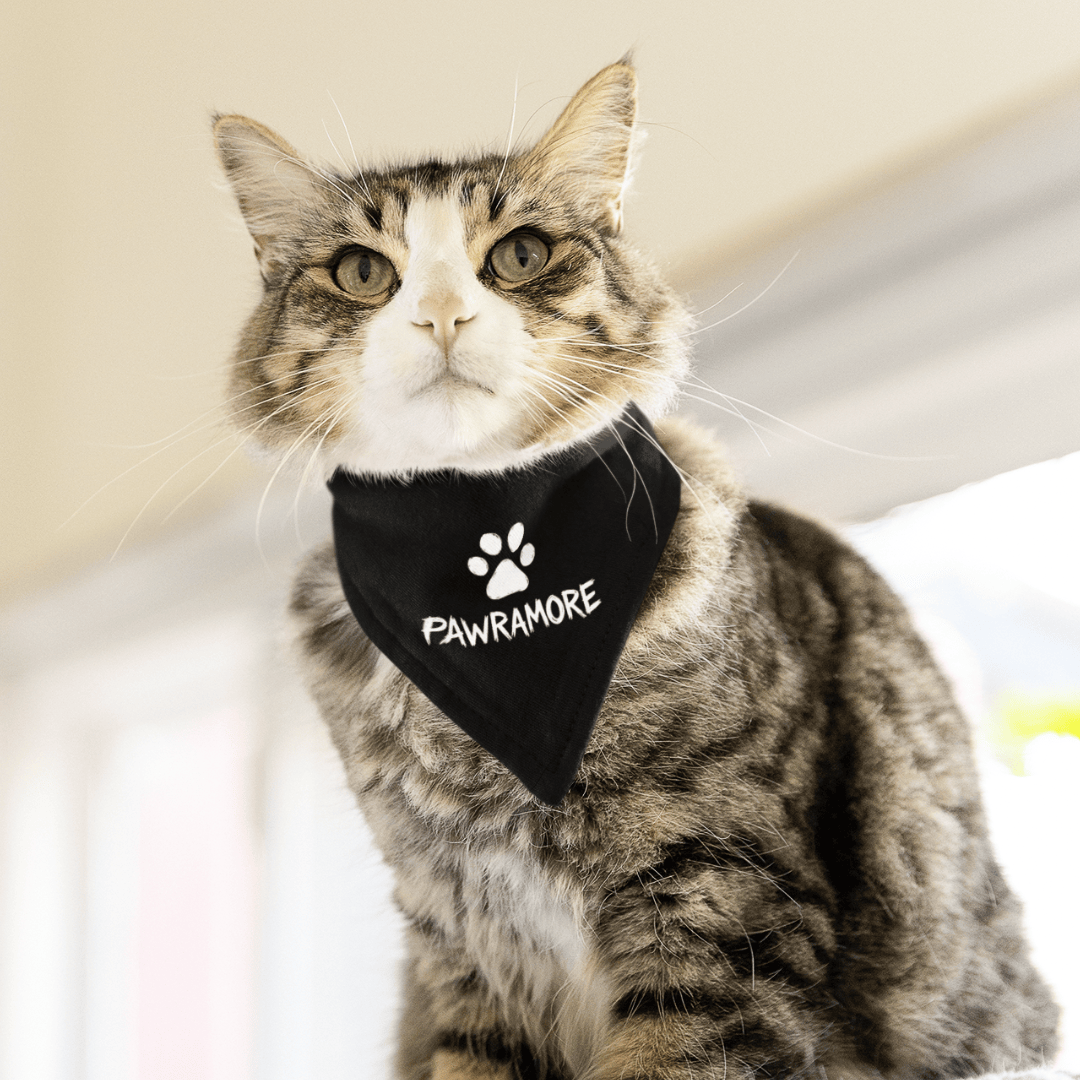 Pawramore Pet Bandana OLD