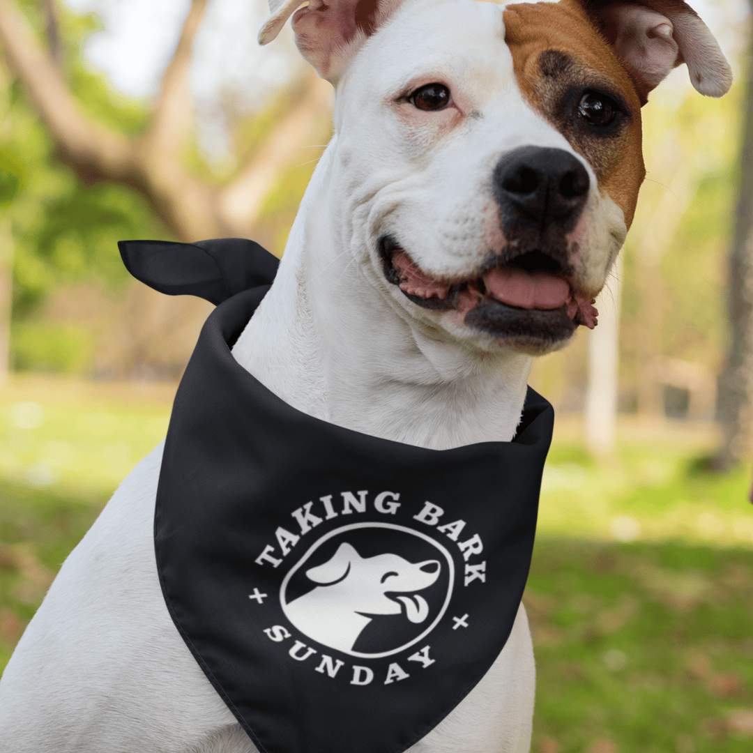 Taking Bark Sunday Pet Bandana OLD